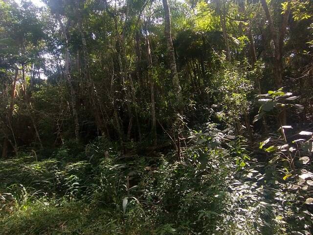#1030 - Área para Venda em Mairiporã - SP - 2