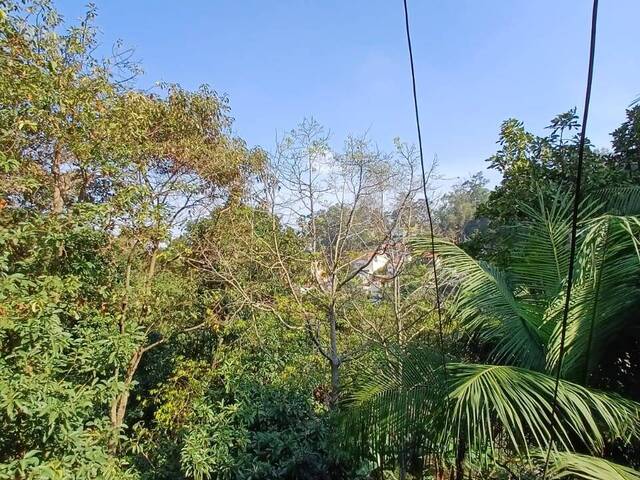 Casa para Locação em São Paulo - 5