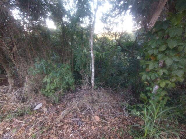 #2678 - Terreno para Venda em Mairiporã - SP - 3