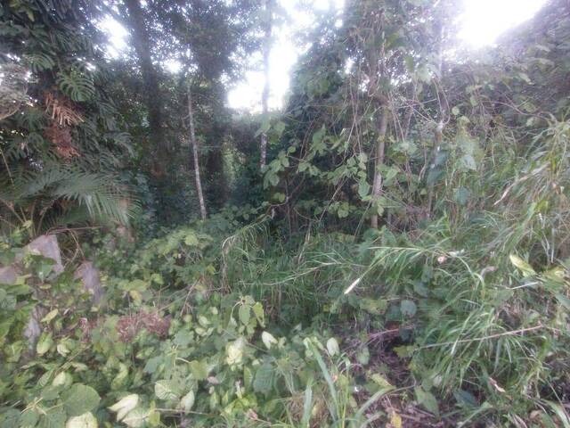 Terreno para Venda em Mairiporã - 5