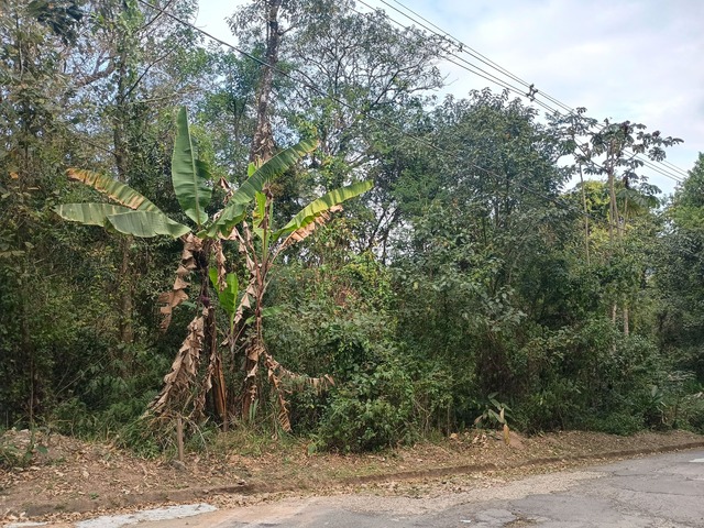 #2682 - Terreno para Venda em Mairiporã - SP - 3