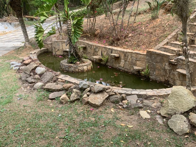  para  em  - 5